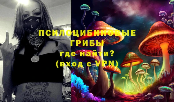 шишки Елабуга